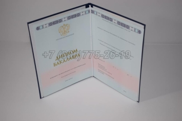 Диплом Бакалавра 2024г ГОЗНАК в Брянске